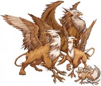 winged mythical griffins gryphons griffin
