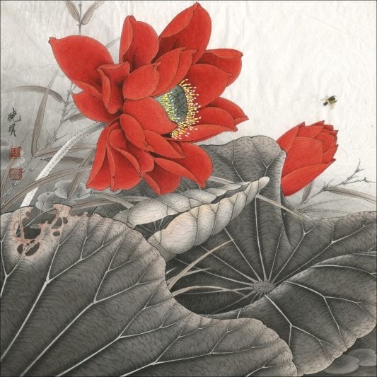 red-lotus-flower-meaning-and-symbolism-mythologian