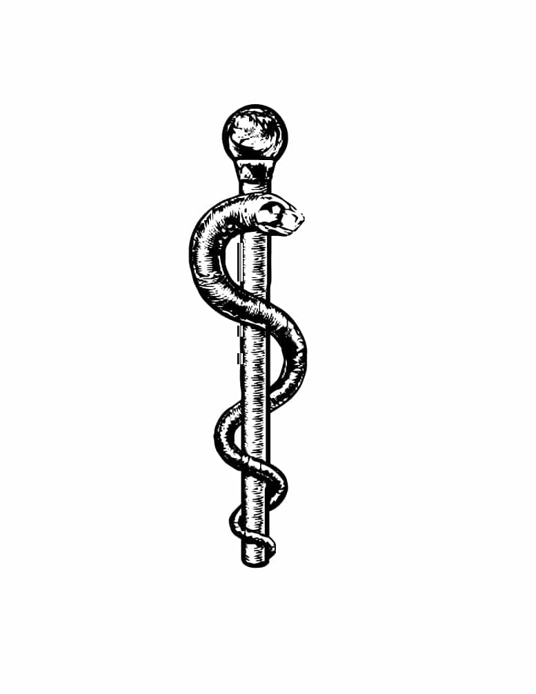Staff/Rod of Asclepius as a Medical Symbol - The Symbol of Medicine and Its Meaning